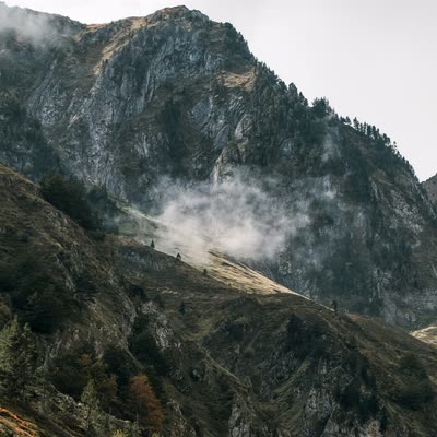 Mist drifting across a forested mountain slope